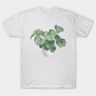 Potted Calathea Plant T-Shirt